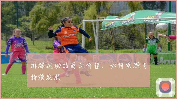 排球运动的商业价值，如何实现可持续发展